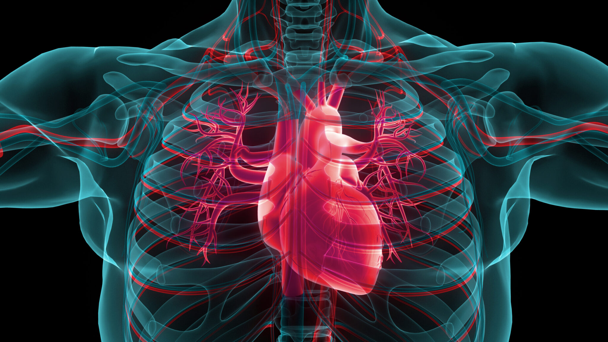 GLP-1 Agonists May Lower Reduce Atrial Fibrillation Recurrence | Urban ...